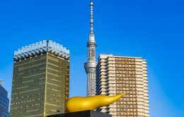 【東京23区】墨田区での不動産投資に興味ある貴方に！どんなところか丸わかりガイド